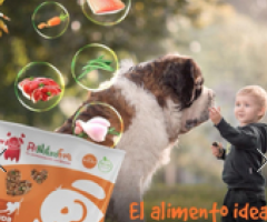 PET NATURAL FOOF JUNIOR